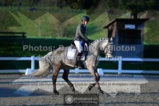 ref. photo 3555504