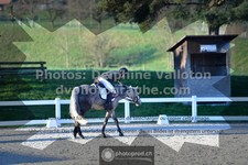 ref. photo 3555517