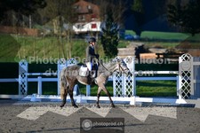 ref. photo 3555518