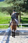 ref. photo 3555524