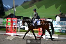 ref. photo 3555525