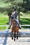 ref. photo 3555527