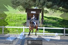 ref. photo 3555530