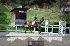 ref. photo 3555535