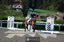 ref. photo 3555536