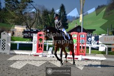ref. photo 3555538