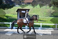 ref. photo 3555539