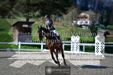 ref. photo 3555541