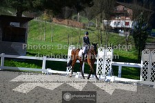 ref. photo 3555542