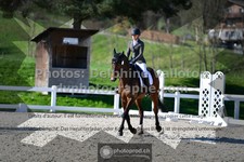 ref. photo 3555543