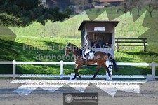 ref. photo 3555545