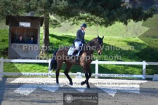 ref. photo 3555546
