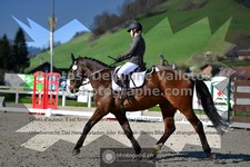 ref. photo 3555555