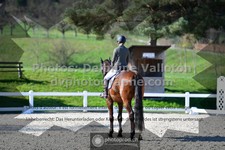 ref. photo 3555556