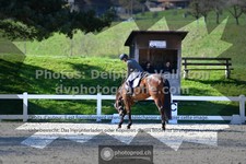 ref. photo 3555560