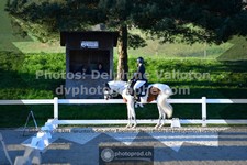 ref. photo 3555579