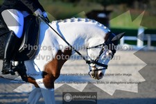 ref. photo 3555581