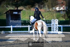ref. photo 3555584
