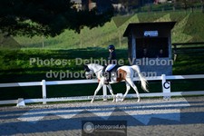 ref. photo 3555586