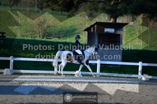 ref. photo 3555599