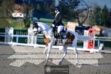ref. photo 3555604