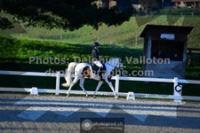 ref. photo 3555609