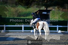 ref. photo 3555635