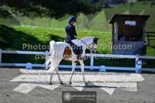 ref. photo 3555646