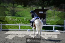 ref. photo 3555692