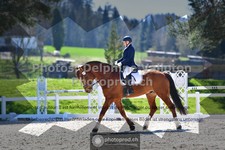 ref. photo 3555703
