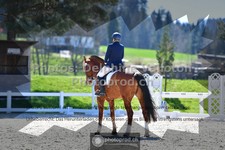 ref. photo 3555705