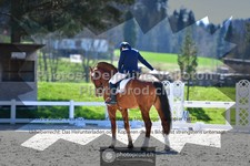 ref. photo 3555706