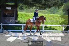 ref. photo 3555707