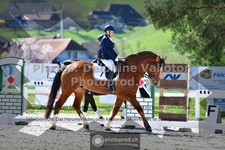 ref. photo 3555711