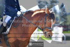 ref. photo 3555718