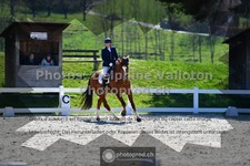 ref. photo 3555723