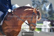 ref. photo 3555726