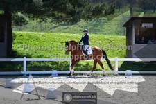 ref. photo 3555728