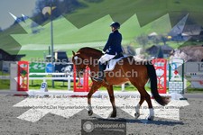 ref. photo 3555736