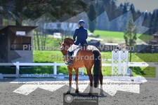 ref. photo 3555737