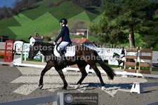 ref. photo 3555748