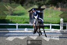 ref. photo 3555768