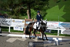 ref. photo 3555788
