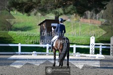 ref. photo 3555790