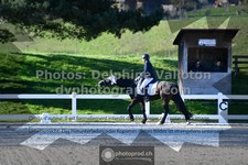ref. photo 3555793