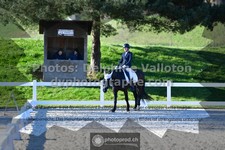 ref. photo 3555794