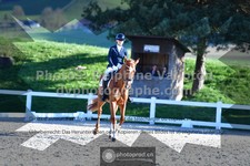 ref. photo 3555814
