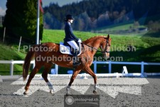 ref. photo 3555818