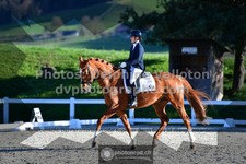 ref. photo 3555822