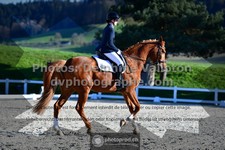 ref. photo 3555827